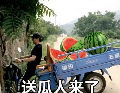 最近大瓜事件,揭秘明星隐私风波背后的真相-第1张图片-成人抖抈app