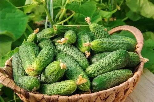 最近大瓜事件,揭秘明星隐私风波背后的真相-第2张图片-成人抖抈app