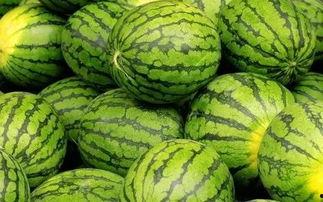 吃瓜网官网免费观看 吃瓜网官网,免费观看，畅享娱乐盛宴-第2张图片-成人抖抈app