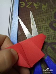 剪纸立体成人怎么做视频,创意手工艺术新体验-第2张图片-成人抖抈app