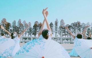 成人舞中国舞简单视频,领略成人舞中国舞之美-第2张图片-成人抖抈app