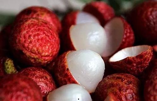 荔枝视频www成人,探索成人世界的多彩画卷-第1张图片-成人抖抈app