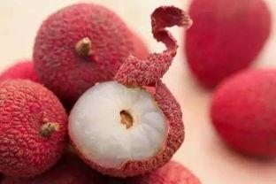 荔枝视频www成人,探索成人世界的多彩画卷-第2张图片-成人抖抈app