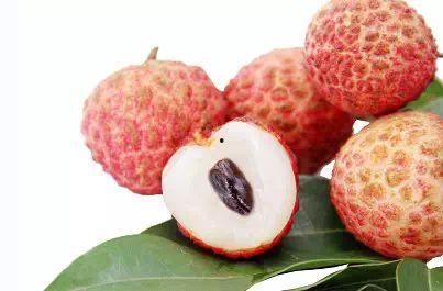 荔枝视频www成人,探索成人世界的多彩画卷-第3张图片-成人抖抈app