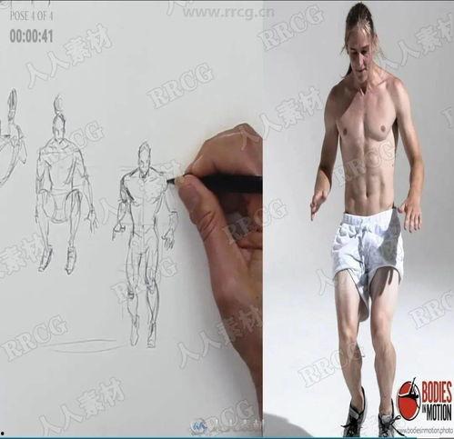 成人健身南拳教程视频,视频解析与动作要领-第1张图片-成人抖抈app