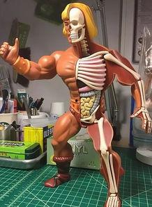 可爱型成人玩具推荐视频,趣味与情趣兼具的精选推荐-第1张图片-成人抖抈app