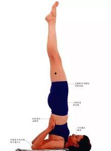 成人胸倒立教学视频,教学视频详解-第1张图片-成人抖抈app