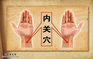 成人按摩上肢部位视频,轻松缓解疲劳，焕发活力-第3张图片-成人抖抈app