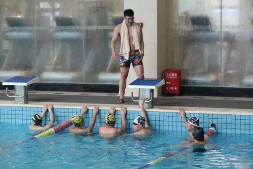金山成人游泳教学视频,轻松掌握水上技巧，畅游夏日泳池-第1张图片-成人抖抈app