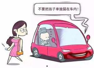 成人车安全教育视频,视频学习要点汇总-第3张图片-成人抖抈app