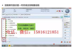大众成人教程视频教程,轻松掌握实用技能的秘籍解析-第1张图片-成人抖抈app