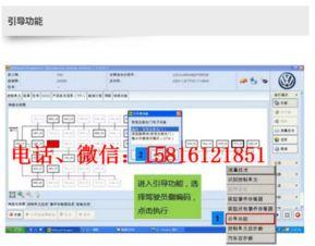 大众成人教程视频教程,轻松掌握实用技能的秘籍解析-第2张图片-成人抖抈app