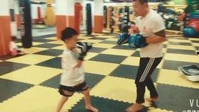 成人打架训练方法视频,视频教程深度解析-第1张图片-成人抖抈app