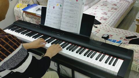 钢琴视频教学成人,从零基础到指尖舞者的蜕变之路-第3张图片-成人抖抈app