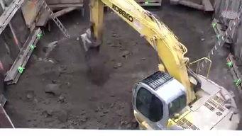 成人挖土机卡车视频大全,成人挖土机卡车操作视频集锦-第2张图片-成人抖抈app