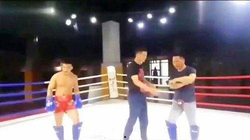 拳套成人自由搏击视频,成人自由搏击拳套下的技巧与策略-第1张图片-成人抖抈app