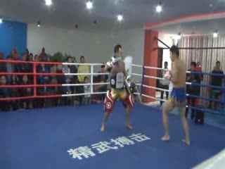 拳套成人自由搏击视频,成人自由搏击拳套下的技巧与策略-第3张图片-成人抖抈app