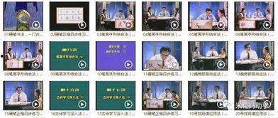 成人练字训练视频大全,成人练字训练视频大全精选教程-第3张图片-成人抖抈app