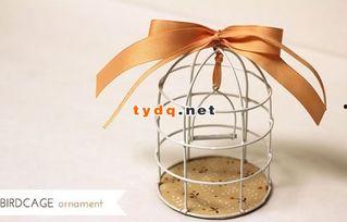 成人铁丝手工制作教程视频,跟随视频学习打造独特艺术品-第3张图片-成人抖抈app