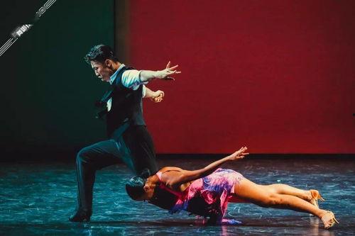 成人唯美大气扇舞视频-第1张图片-成人抖抈app