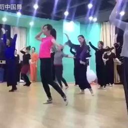 中国舞基本成人舞蹈视频,跟随中国舞基本成人舞蹈视频，领略古典韵味-第2张图片-成人抖抈app