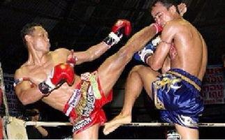 临汾成人拳击比赛视频-第2张图片-成人抖抈app