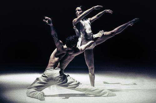 白马舞蹈成人筷子版视频-第2张图片-成人抖抈app