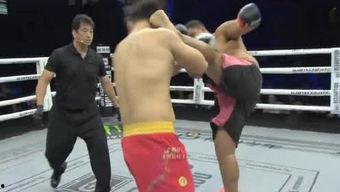 成人自由搏击视频大全集-第3张图片-成人抖抈app