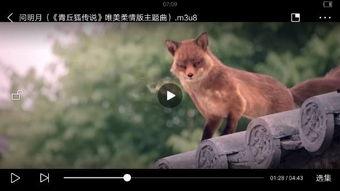 小猫变成人音乐视频,小猫的奇幻变身之旅-第1张图片-成人抖抈app