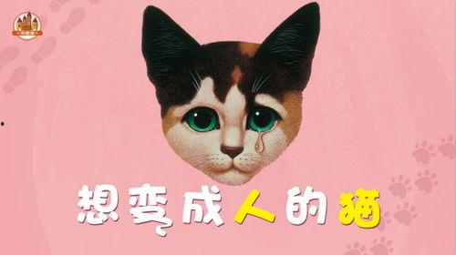 小猫变成人音乐视频,小猫的奇幻变身之旅-第3张图片-成人抖抈app