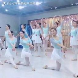 芭蕾简单成人舞视频大全,跟随简单成人舞视频大全，轻松掌握优雅舞步-第2张图片-成人抖抈app