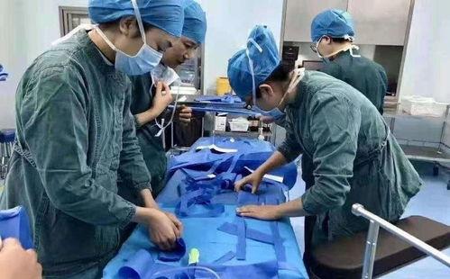 成人疝气带自制视频,居家护理小妙招-第1张图片-成人抖抈app